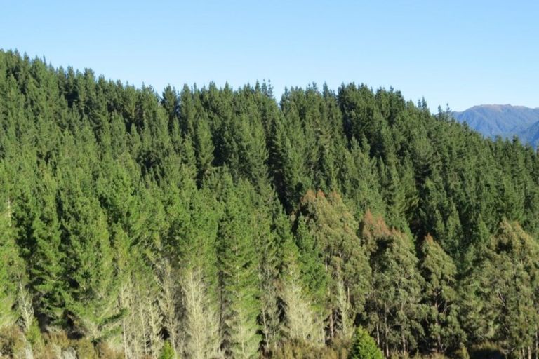 Photo of property in 4573 Shenandoah Highway, Maruia, Reefton, 7077