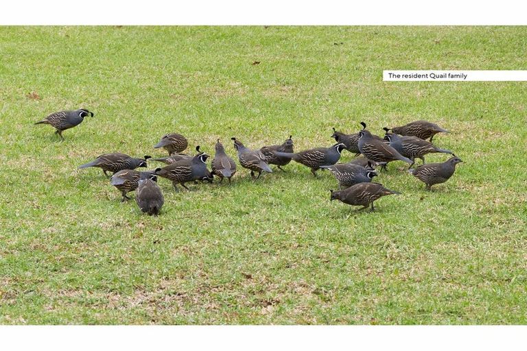 Photo of property in 106 Old Golf Course Road, Dargaville, 0371