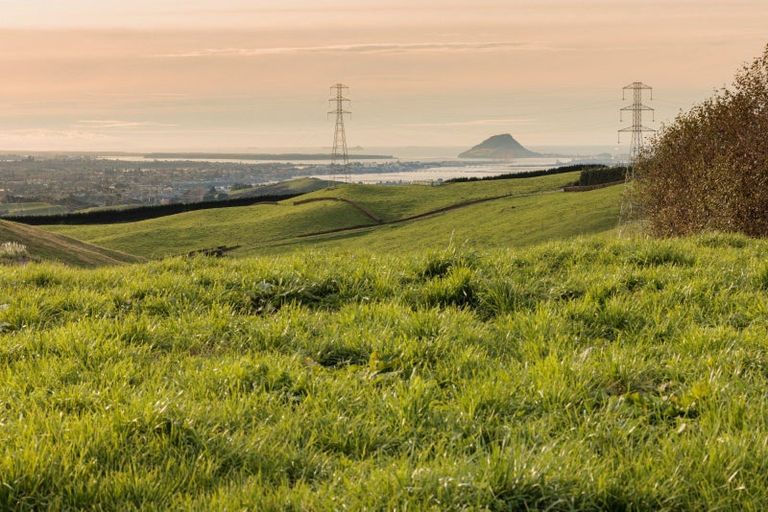 Photo of property in 39c Rowe Road, Ohauiti, Tauranga, 3173