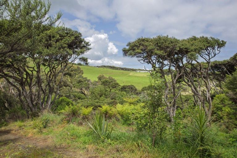 Photo of property in 1615 Whaanga Road, Raglan, 3296