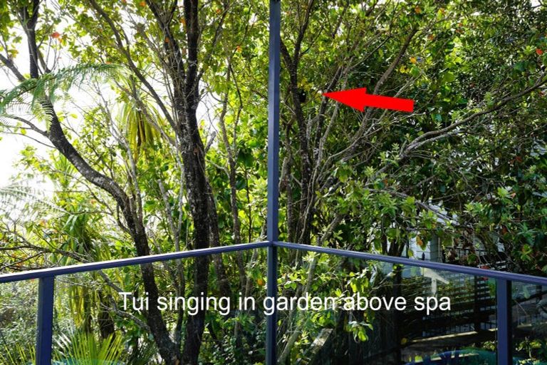 Photo of property in 8 Kingswood Place, Langs Beach, Waipu, 0582