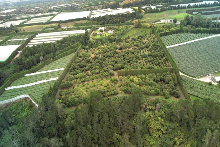 Photo of property in 400 Te Matai Road, Te Puke, 3188