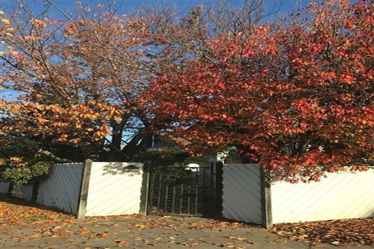 Photo of property in 801 Jervois Street, Mayfair, Hastings, 4122