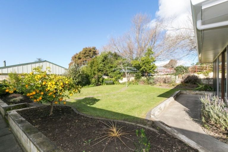 Photo of property in 14 Belmont Street, Havelock North, 4130