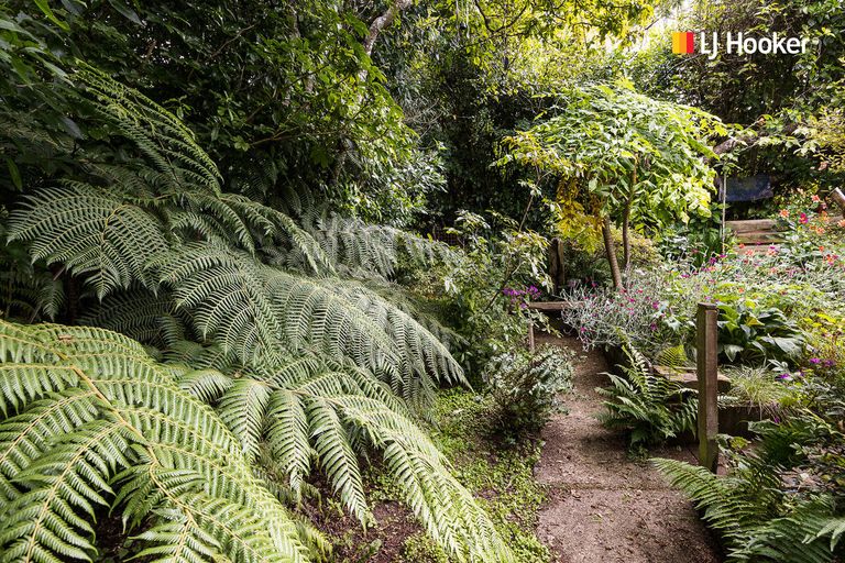 Photo of property in 5 Broomlea Street, Wakari, Dunedin, 9010