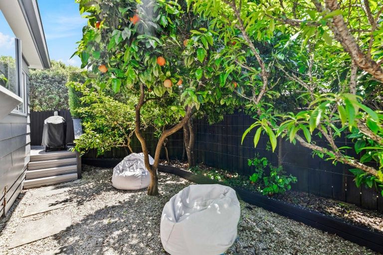 Photo of property in 65a Moa Road, Point Chevalier, Auckland, 1022