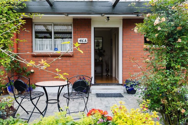 Photo of property in 46a Kenmure Road, Belleknowes, Dunedin, 9011