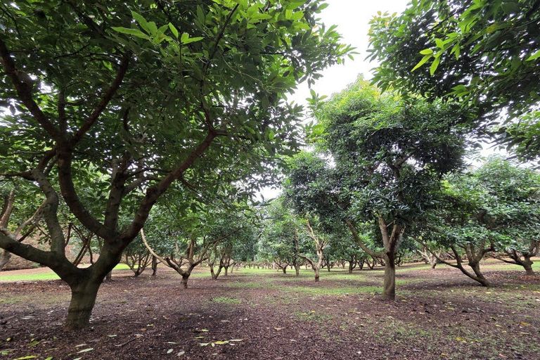 Photo of property in 244 Beach Road, Katikati, 3178