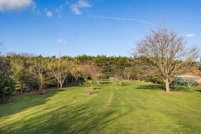 Photo of property in 16 Spring Street, Foxton, 4814