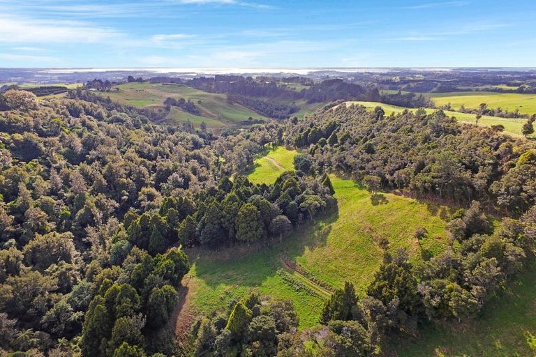 Photo of property in 687 Work Road, Whakamarama, Katikati, 3181