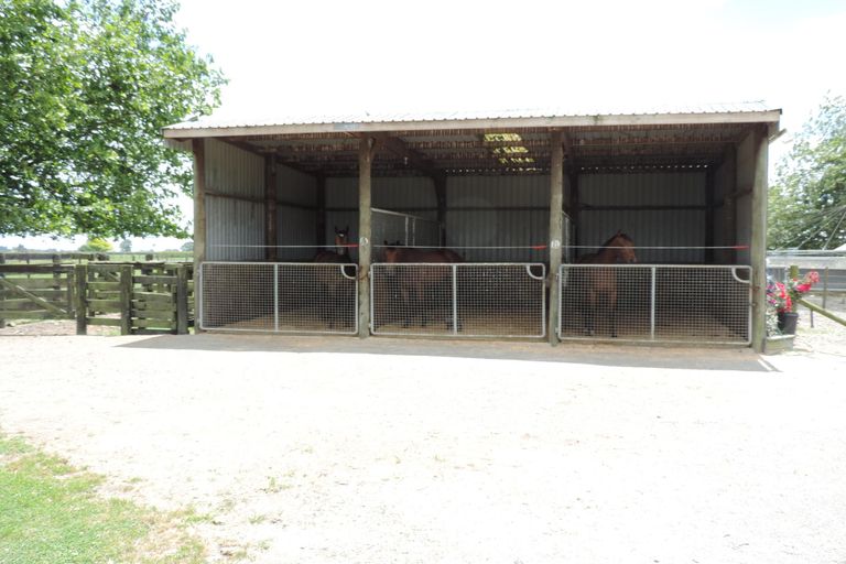 Photo of property in 1463 Alexandra Road, Waharoa, 3474
