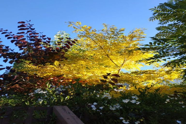 Photo of property in 48b Paraonui Road, Tokoroa, 3420