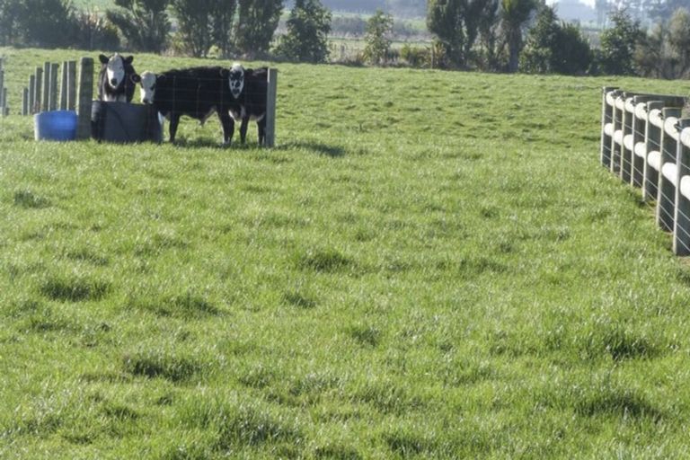 Photo of property in 66 Wilcox Road, Seaward Bush, Invercargill, 9871