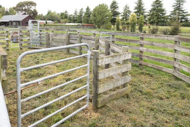 Photo of property in 181 Mitcham Road, Allenton, Ashburton, 7772