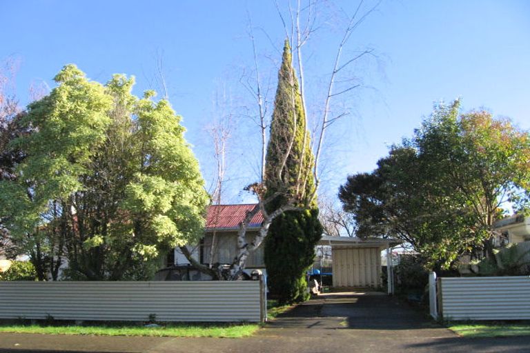 Photo of property in 113 Norton Road, Akina, Hastings, 4122