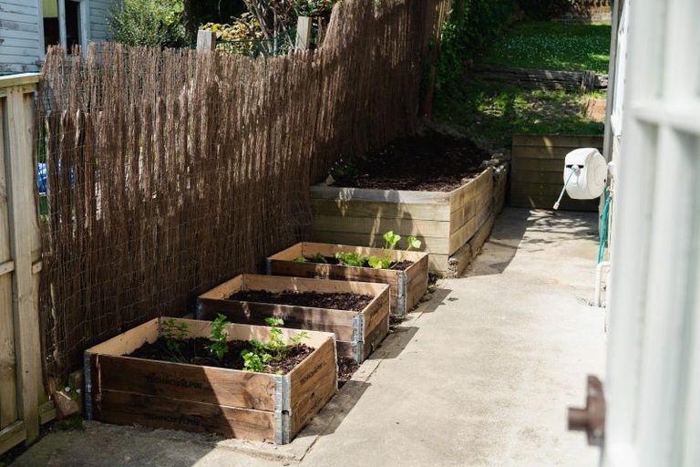 Photo of property in 244 Taieri Road, Wakari, Dunedin, 9010