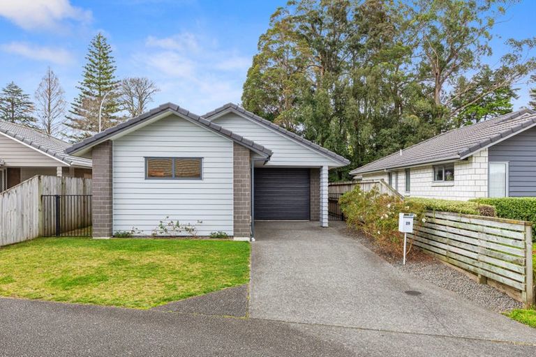 Photo of property in 29 Allington Place, Bethlehem, Tauranga, 3110