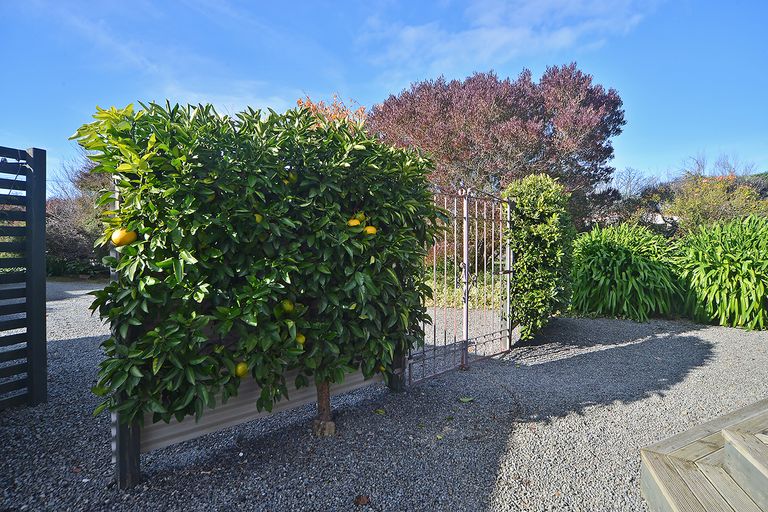 Photo of property in 4 Venice Street, Martinborough, 5711