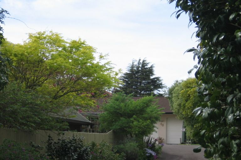 Photo of property in 40 Ranui Street, Matua, Tauranga, 3110