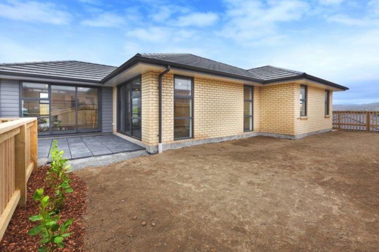 Photo of property in 169 John Burke Drive, Aotea, Porirua, 5024