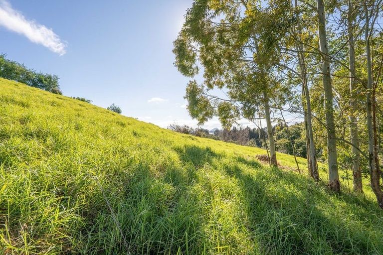 Photo of property in 99 Carmen Way, Ohauiti, 3112