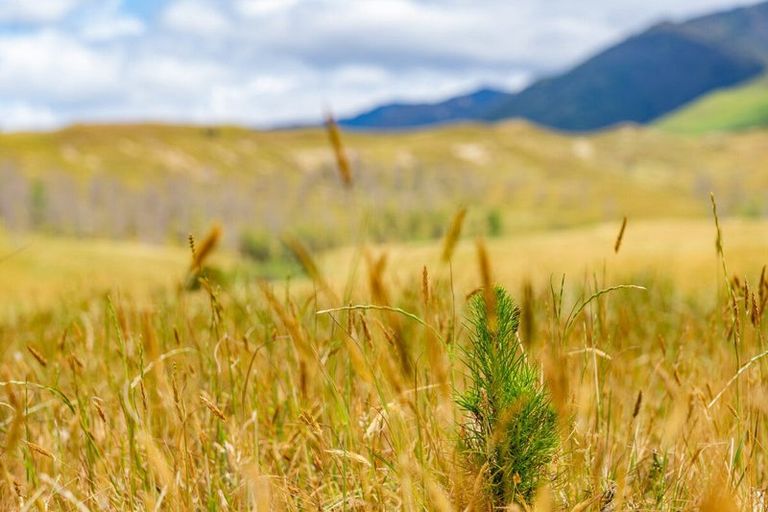 Photo of property in 463 Gull Flat Road, Kereru, Hastings, 4171