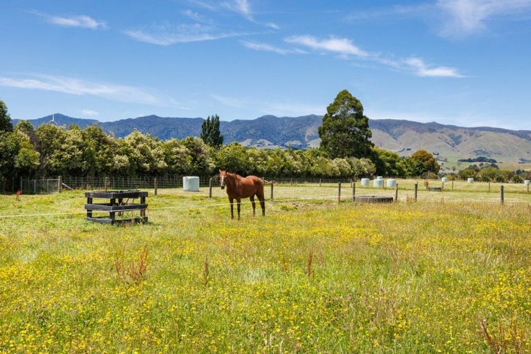 Photo of property in 946d Finnis Road, Pohangina, Ashhurst, 4884