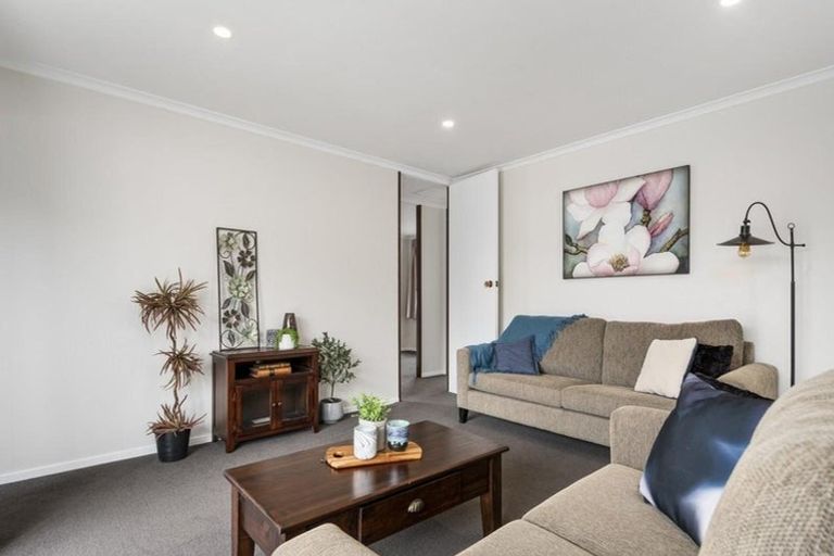 Photo of property in 54a Hammond Street, Hairini, Tauranga, 3112