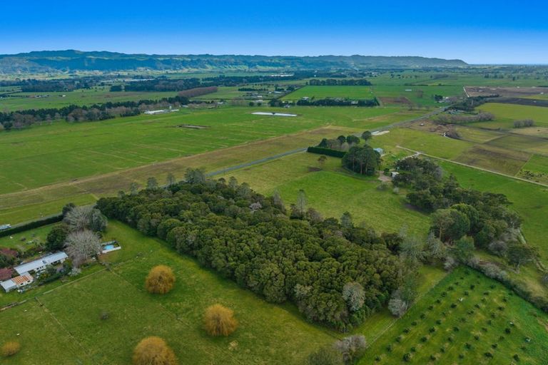 Photo of property in 449 Grieve Road, Te Teko, Whakatane, 3193