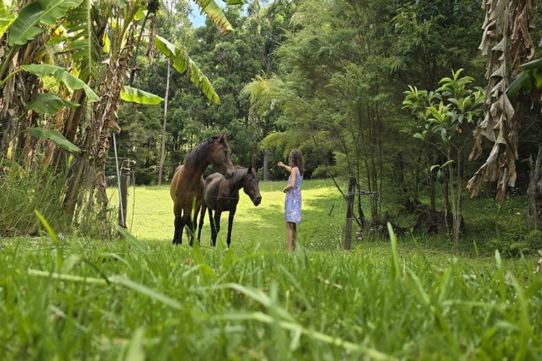 Photo of property in 656 Takahue Road, Takahue, Kaitaia, 0481