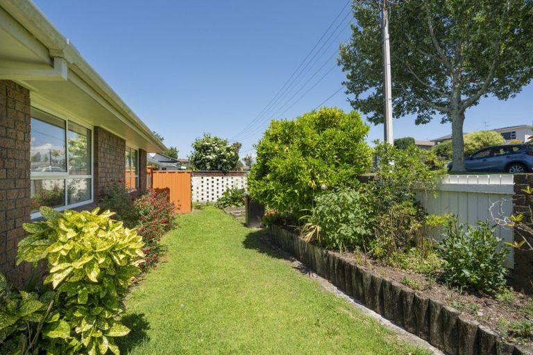 Photo of property in 105a Twelfth Avenue, Tauranga South, Tauranga, 3112
