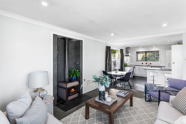 Photo of property in 6 Willow Street, Hampstead, Ashburton, 7700