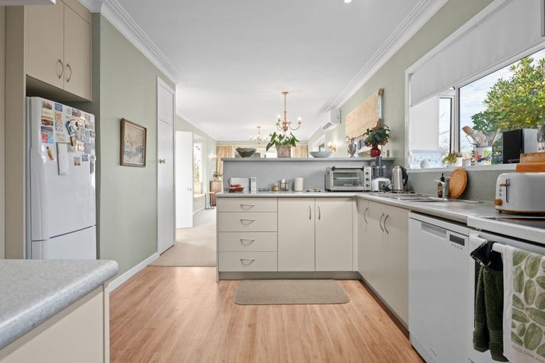 Photo of property in 48 Wymer Terrace, Chartwell, Hamilton, 3210