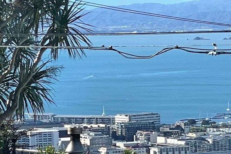 Photo of property in 52 Mitchell Street, Brooklyn, Wellington, 6021