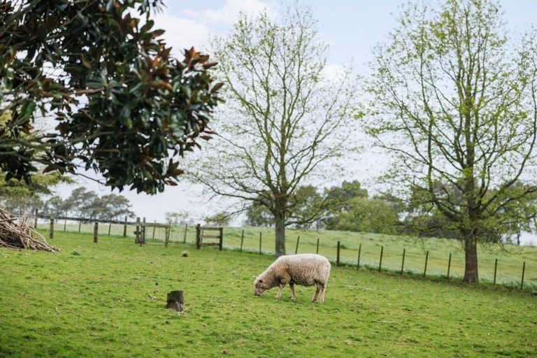 Photo of property in 1378 Kakaramea Road, Ngahinapouri, Ohaupo, 3882