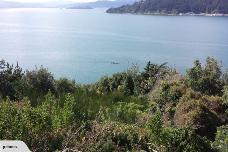 Photo of property in 131 Grafton Road, Roseneath, Wellington, 6011