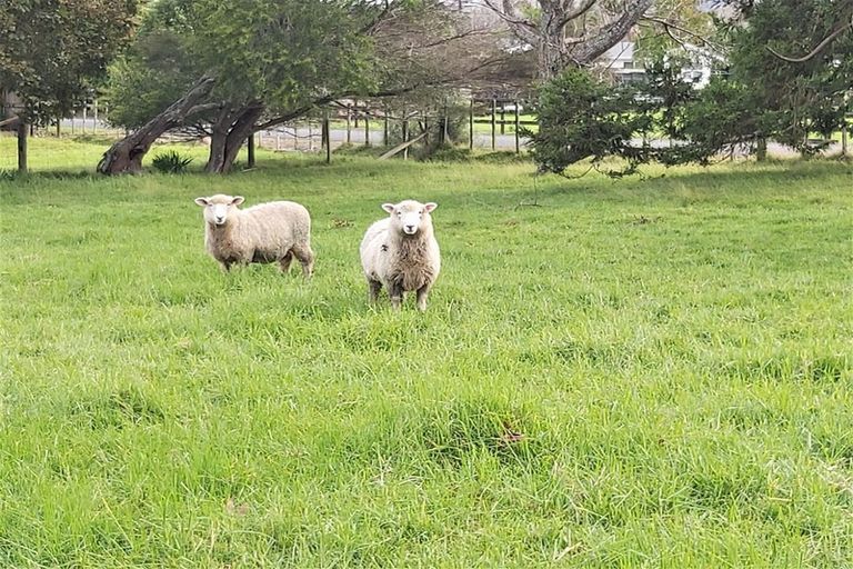 Photo of property in 2/47 Sands Road, Glenbervie, Whangarei, 0173