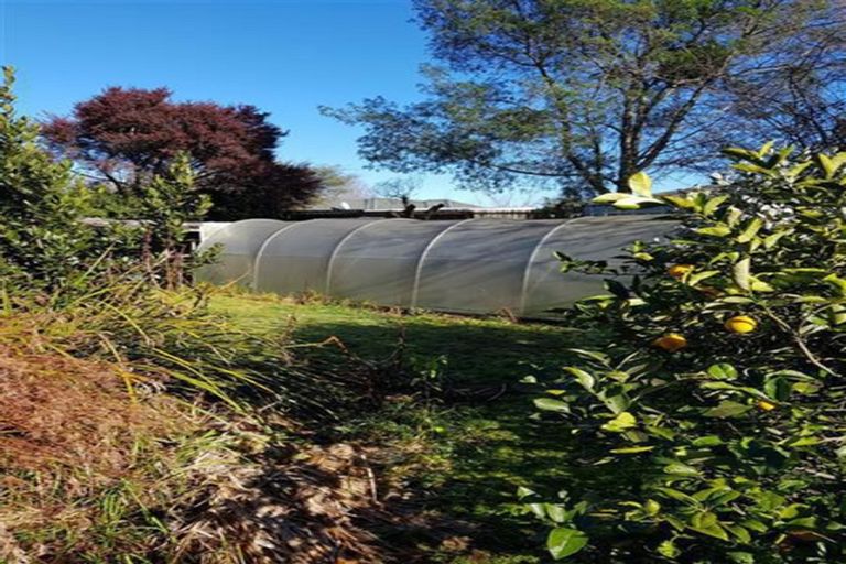 Photo of property in 6 Trewavas Street, Motueka, 7120