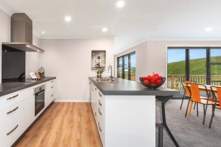 Photo of property in 169 John Burke Drive, Aotea, Porirua, 5024