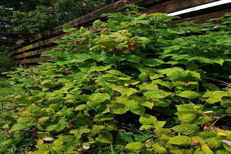 Photo of property in 13 Moonstone Grove, Birchville, Upper Hutt, 5018