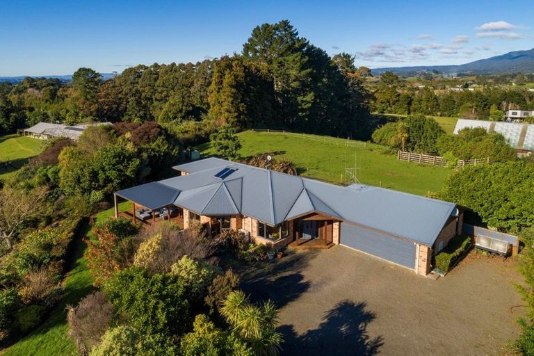 Photo of property in 255 Wharawhara Road, Tahawai, Katikati, 3178