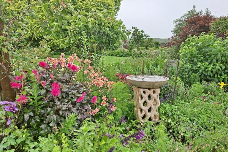 Photo of property in 769 No 1 Road, Te Puke, 3182