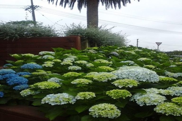 Photo of property in 2 Arran Road, Browns Bay, Auckland, 0630