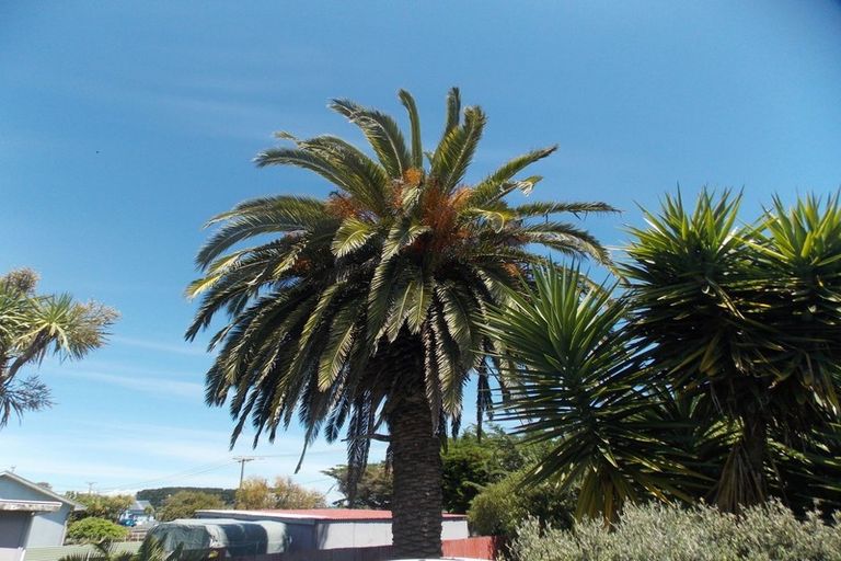 Photo of property in 13 Beach Street, Tangimoana, 4822