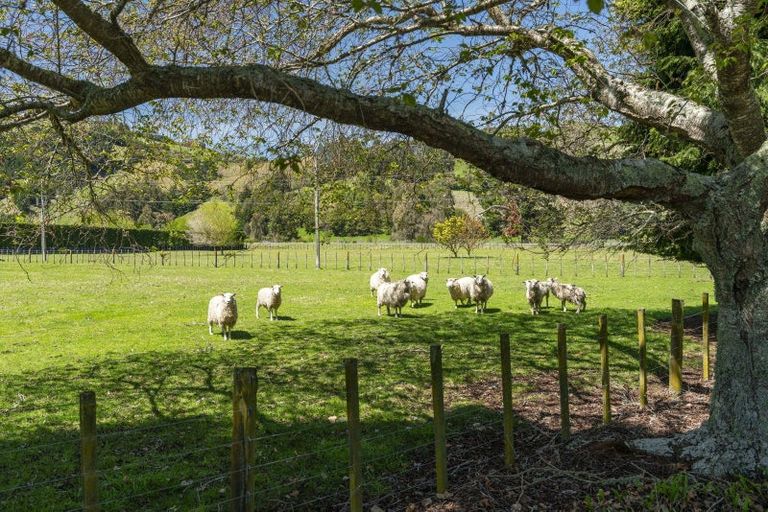 Photo of property in 906 Tukairangi Road, Acacia Bay, Taupo, 3385