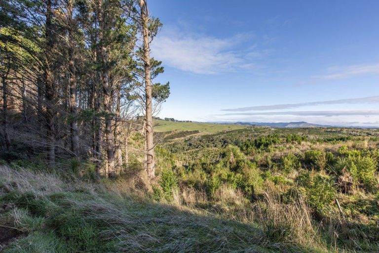Photo of property in 1165c Cooks Tooth Road, Porangahau, 4293