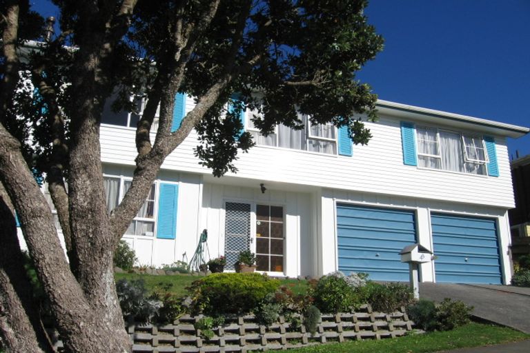 Photo of property in 43 John Sims Drive, Broadmeadows, Wellington, 6035