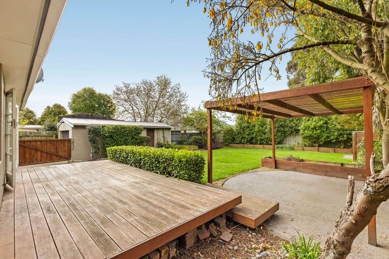 Photo of property in 29 Richards Avenue, Papanui, Christchurch, 8053