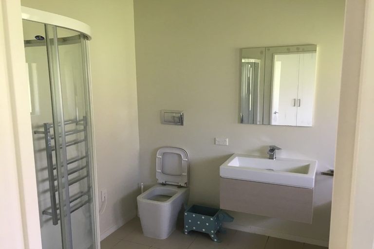 Photo of property in 93 Selman Road, Dairy Flat, Albany, 0794