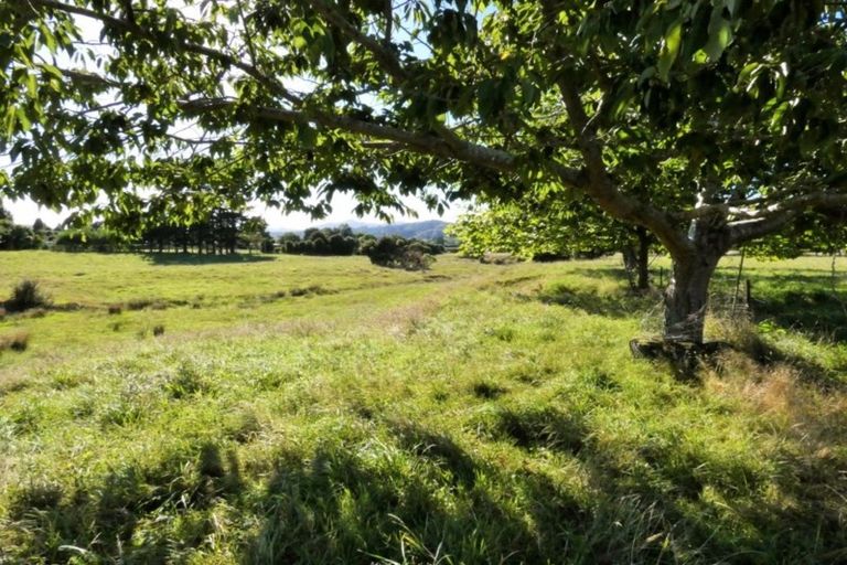 Photo of property in 414 Muhunoa Road East, Muhunoa East, Levin, 5570